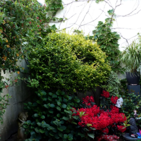 Avant (before) - Le jardin… une pièce à part entière de la maison - Vert Iris